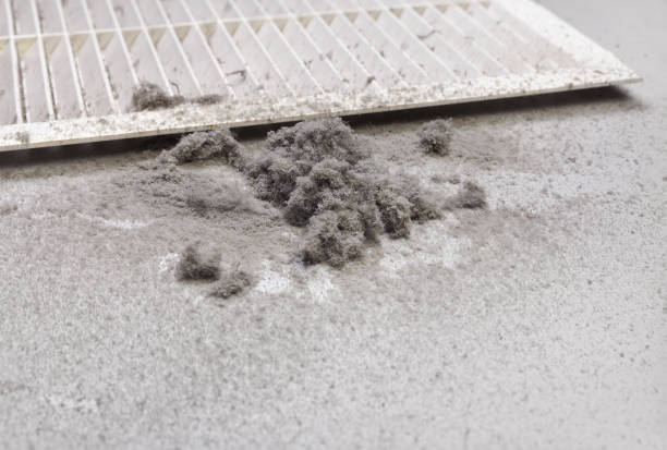 Best Best Air Duct Cleaning Company  in Bodfish, CA
