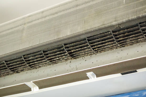 Best General Air Duct Cleaning  in Bodfish, CA